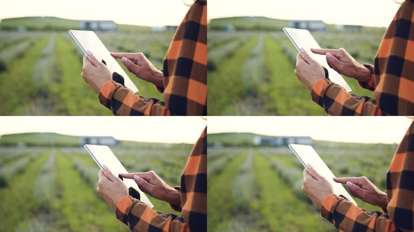 麦田里的女农民手拿着数码平板电脑在屏幕上打字的特写。农艺师站在花田，用技术手段控制采收作物的质量和过