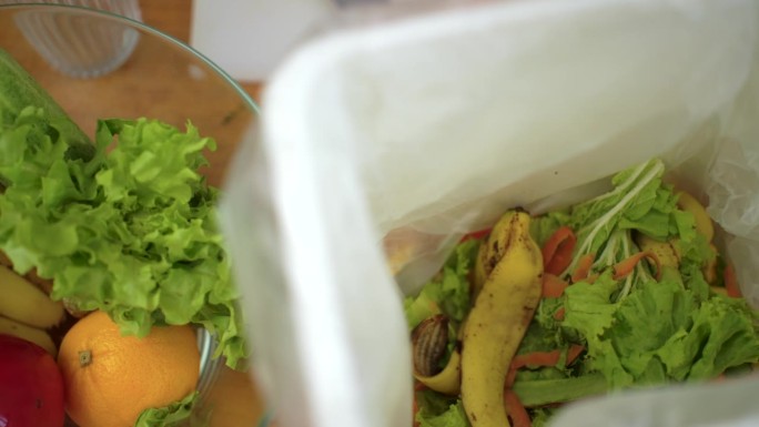 生态堆肥供应厨余废物分类，从菜板上回收蔬菜皮，环保堆肥。扔掉剩果皮和蔬菜，减少零浪费。