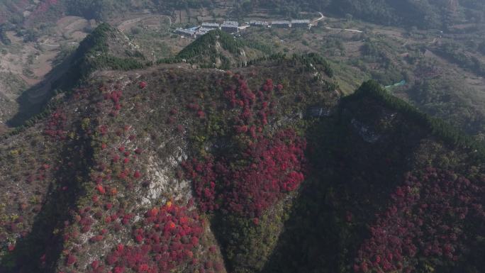 济南三王峪