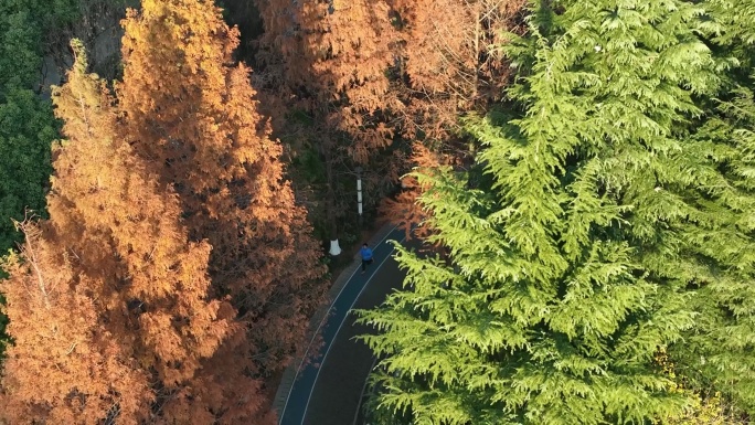 航拍鸟瞰小区里的步道 正在跑步的人