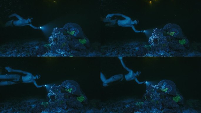 夜间自由潜水，紫外线照射下珊瑚闪闪发光。一名自由潜水者手持火炬在水下游泳，观察在紫外线下发光的珊瑚礁