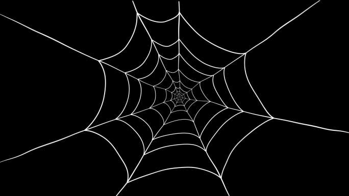 蜘蛛网波动动画（透明底）