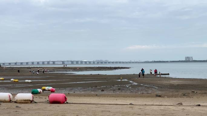 退潮沙滩海滩退潮后的海面沙滩动物沙滩觅食