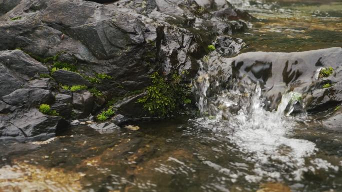 夏日山泉流水大自然小溪空镜头