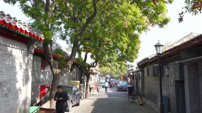 街道  大树 巷子 街景  北京旅游