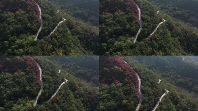 济南三王峪