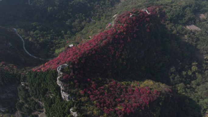 济南三王峪