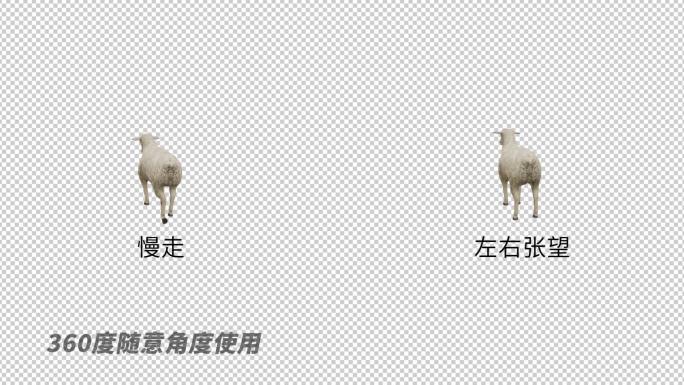 AE自由调整动物模型系列_《羊》