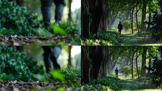 树林跑步行走背影