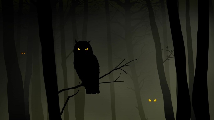 雾蒙蒙的树林里有一只猫头鹰的剪影
