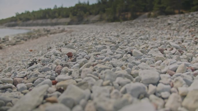 卵石滩。低角度平滑相机移动在小石头在晴天。清洁自然，气候变化和海滩度假的概念。