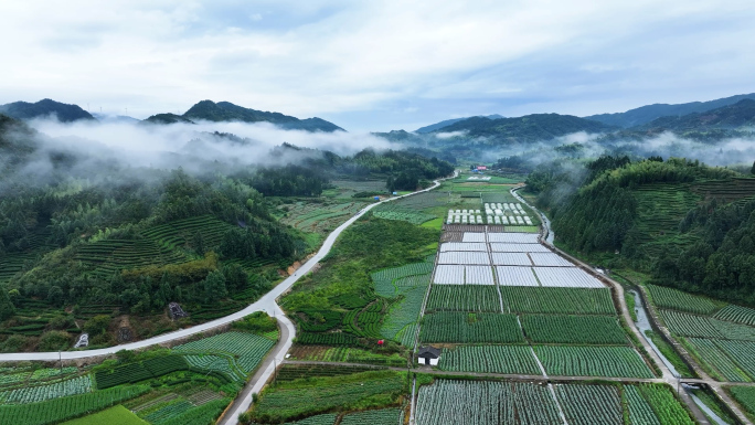 南平政和县山村农田房屋4K航拍