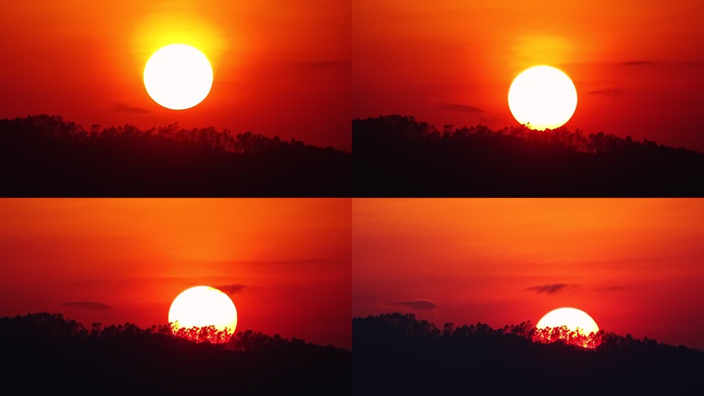 树林日落延时唯美太阳森林夕阳红色天空风景