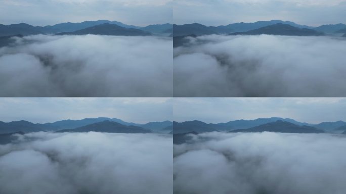 云雾  自然 风景