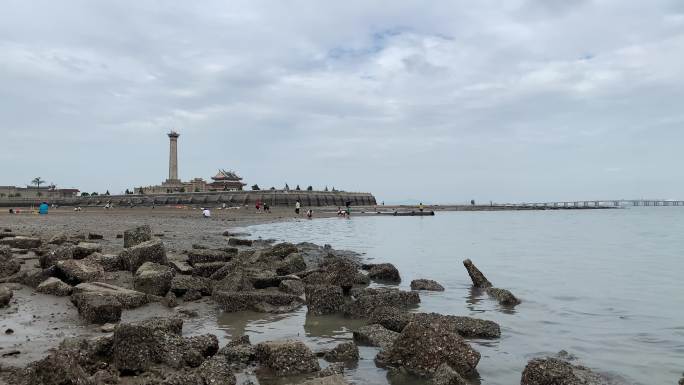 退潮沙滩海滩退潮后的海面沙滩动物沙滩觅食