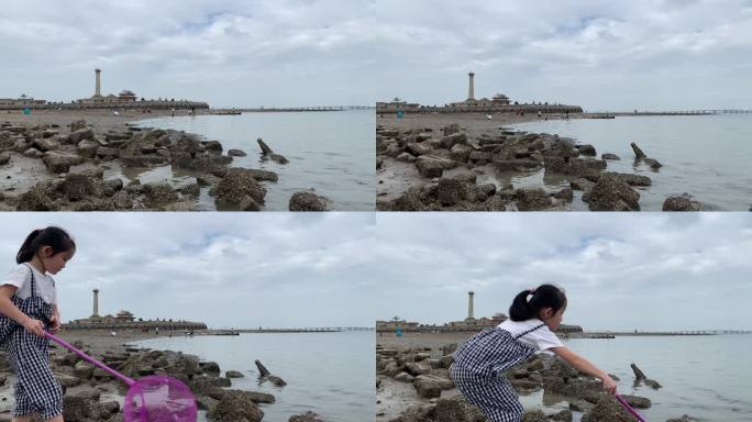 退潮沙滩海滩退潮后的海面沙滩动物沙滩觅食