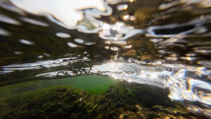 溪流河流水质微生物杂质