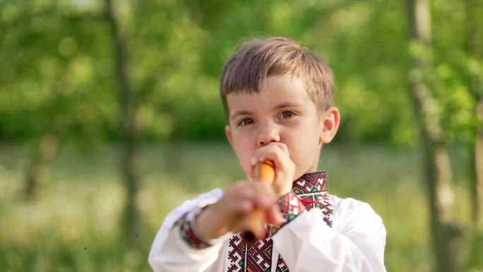 可爱的男孩演奏木管木笛-乌克兰索菲亚卡。民间音乐概念。乐器。小孩穿着传统的刺绣衬衫-维希亚万卡。