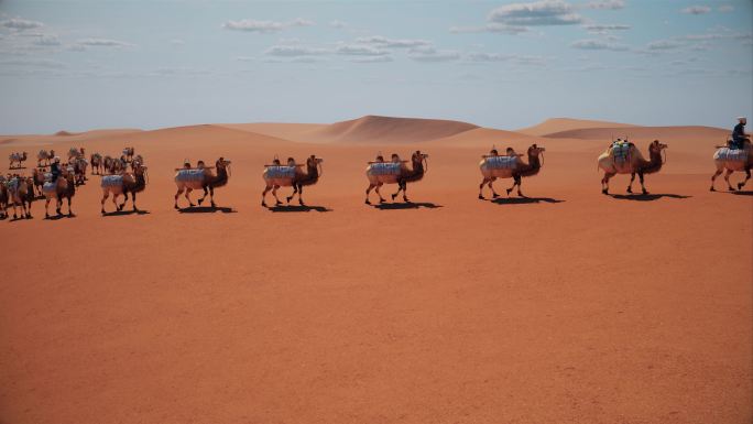 一带一路 丝绸之路 沙漠骆驼 茶马古道