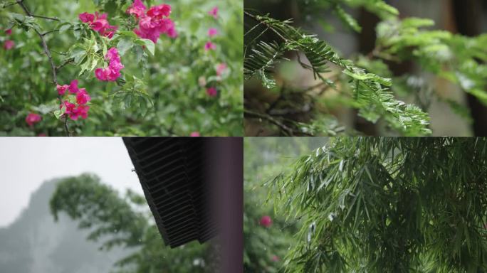 下雨素材雨水树叶花朵竹林暴雨小雨朦胧意境