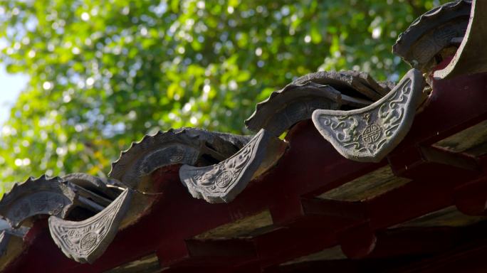 古代屋檐青瓦雕刻特写 微风吹动绿叶树枝