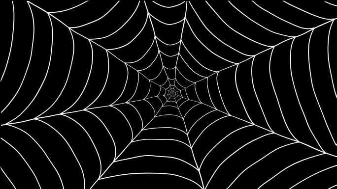 4k抽象蜘蛛网波动画背景（透明底）
