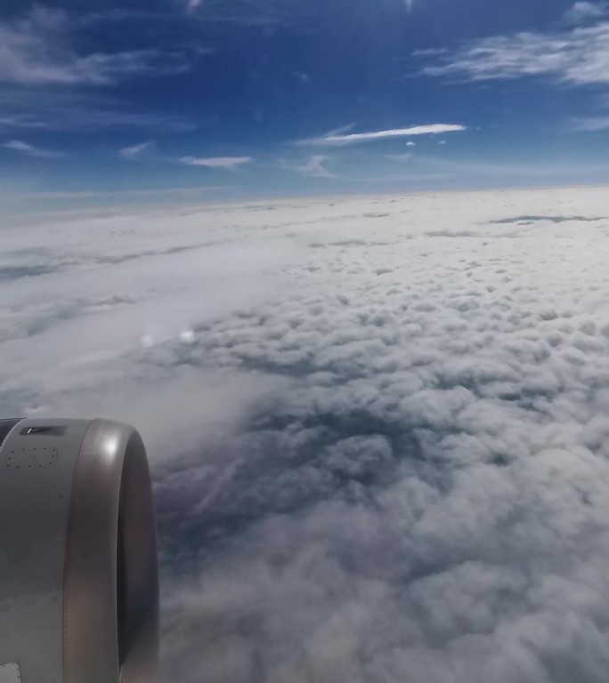 飞机 到达 天空 城市天际线