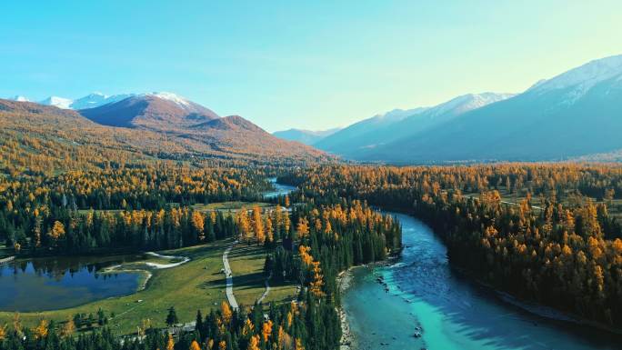 绿水青山树林湖泊河秋景自然资源喀纳斯湖