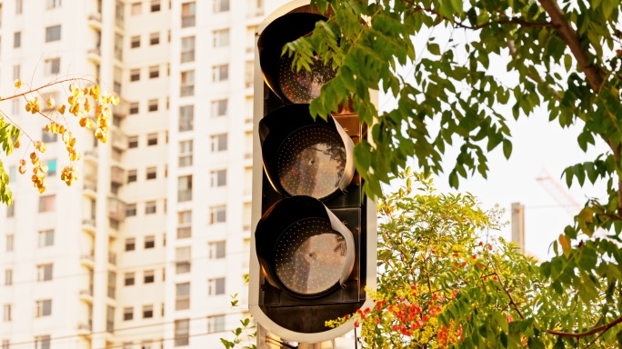 武汉城市道路交通信号灯