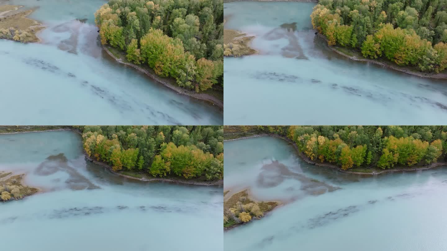 航拍新疆喀纳斯卧龙湾秋景