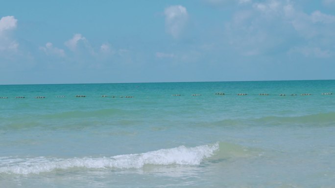 阳光海浪沙滩仙人掌