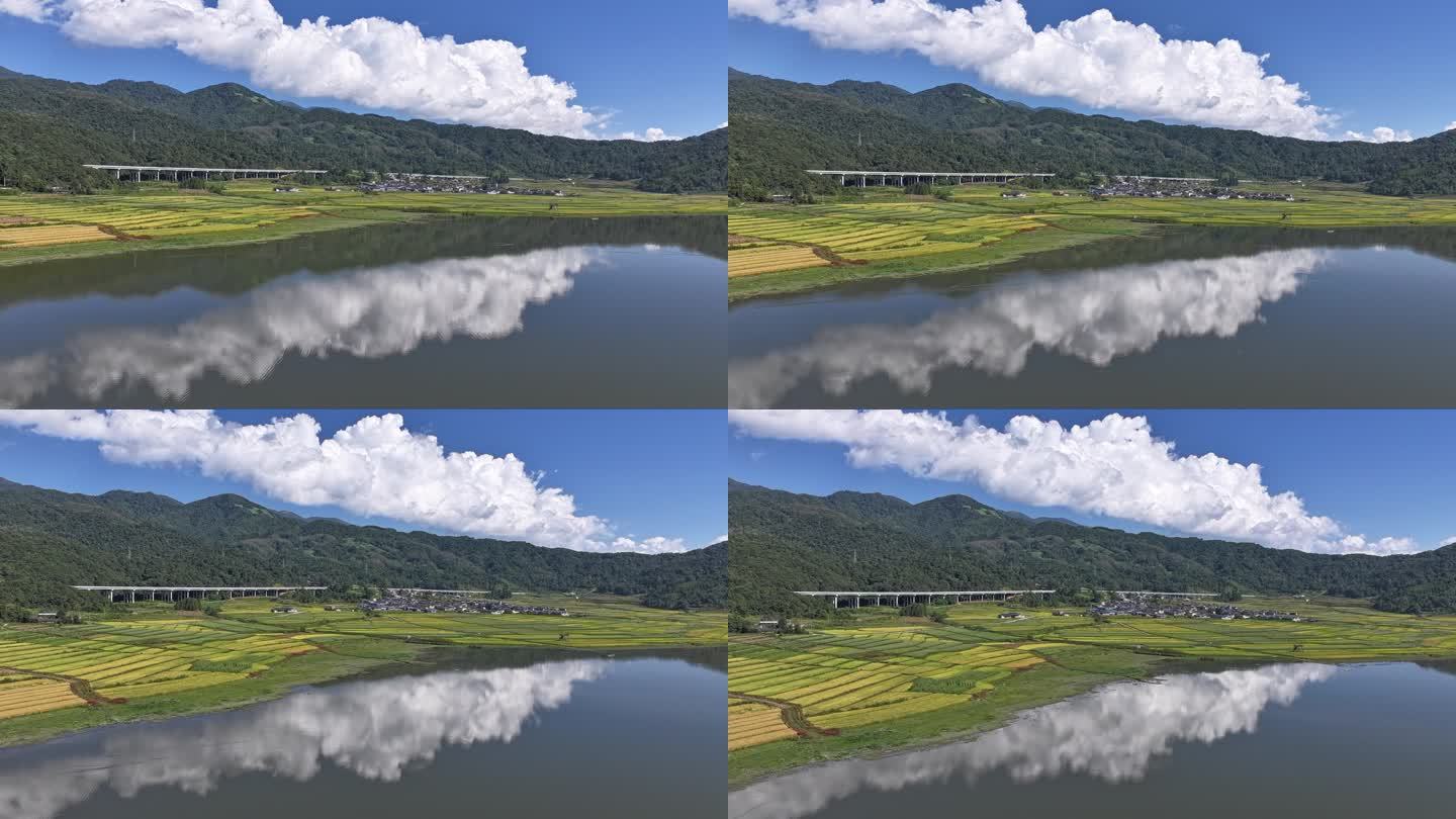 金色稻田边的湖泊倒映着蓝天白云的延时视频