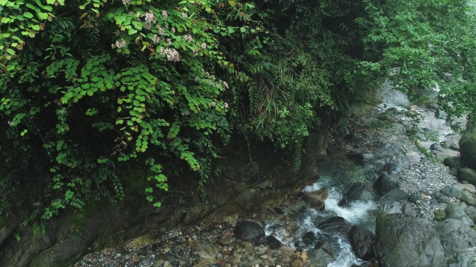 山涧溪流泉水