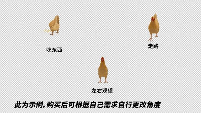 AE自由调整动物模型系列_《鸡》