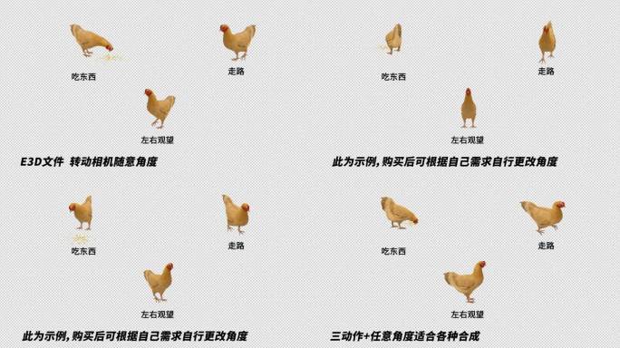 AE自由调整动物模型系列_《鸡》
