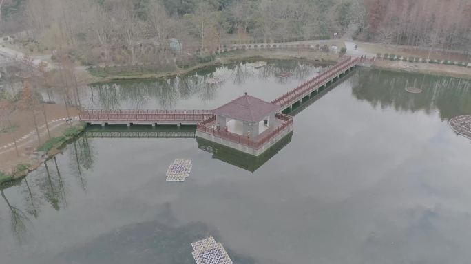 航拍4k上海湖中亭 休息 健身 散步