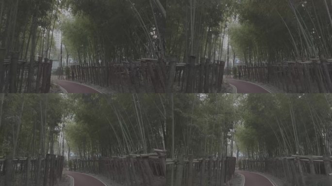 上海小区公园跑道 健身 绿化 树林4k