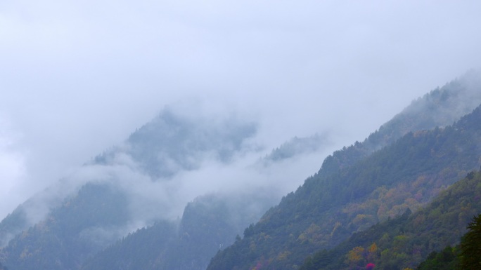 秋天红叶云雾缭绕森林美丽乡村秋天秋季