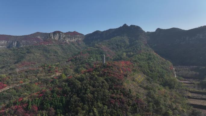 济南三王峪