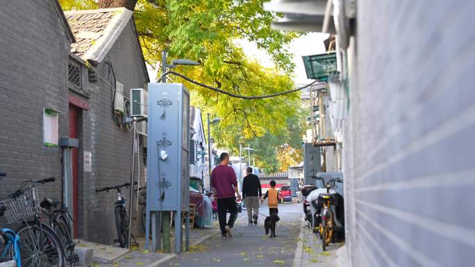 街道 小巷 行人  北京