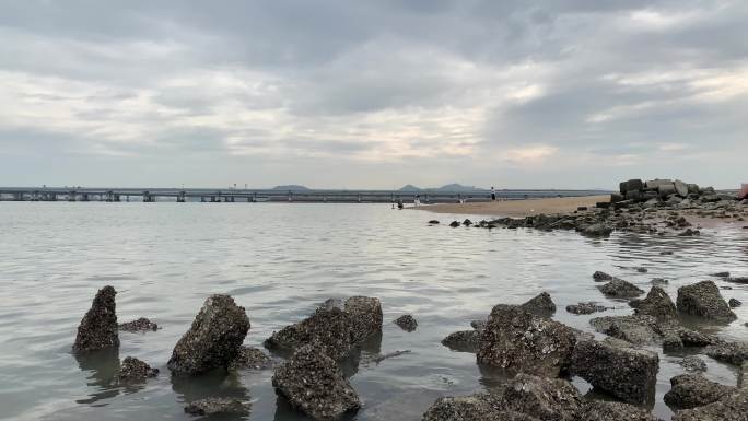 退潮沙滩海滩退潮后的海面沙滩动物沙滩觅食