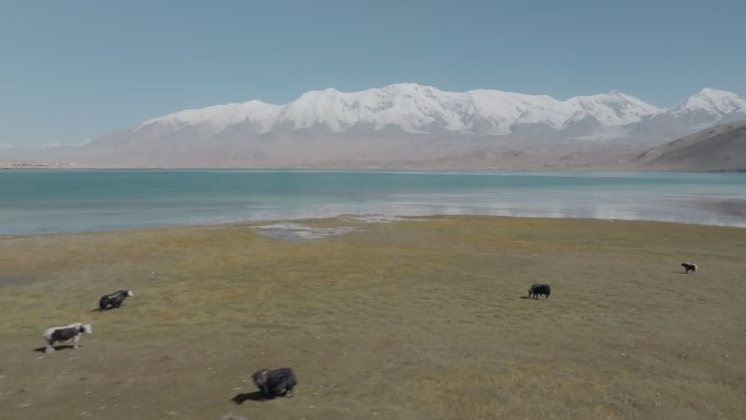 4k-航拍新疆白沙湖雪山-3