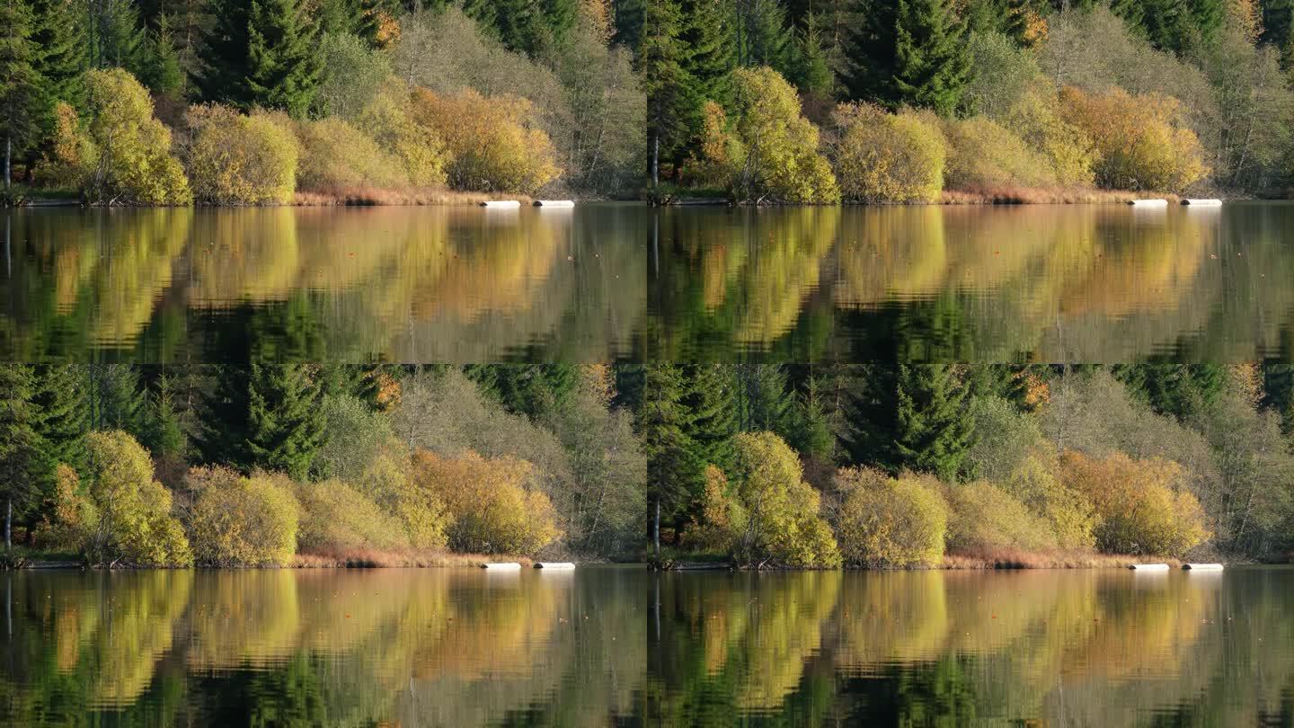 山上的湖被秋天的森林所环绕