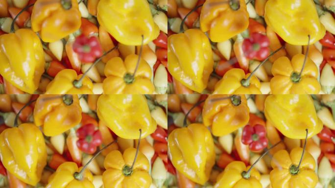 摄像机向上升起，将焦点转移到“土耳其之星”品种的红辣椒上，背景是各种不同辣椒的混合。