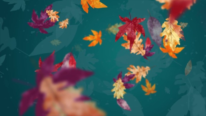 秋天模糊了绿松石的背景，落满了黄色、红色的树叶。抽象的艺术动画。循环运动图形。