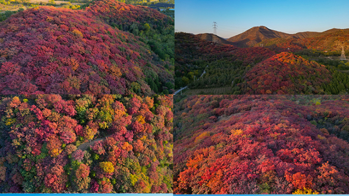 秋天树叶红了舞彩浅山国家登山步道五彩斑斓