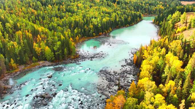 秋季的森林河流