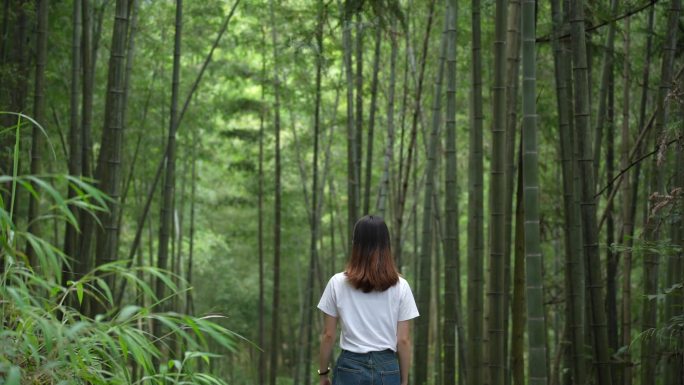 美女行走在竹林间