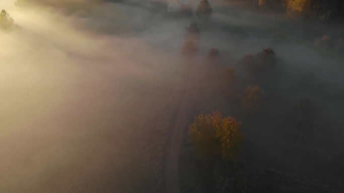 史诗般的惊人的自然景观。日出时令人惊叹的鸟瞰图。秋雾景观。雄伟的雾林鸟瞰图。朦胧乡村的日出。魔法雾到