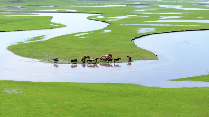 大草原和森林内蒙古美景